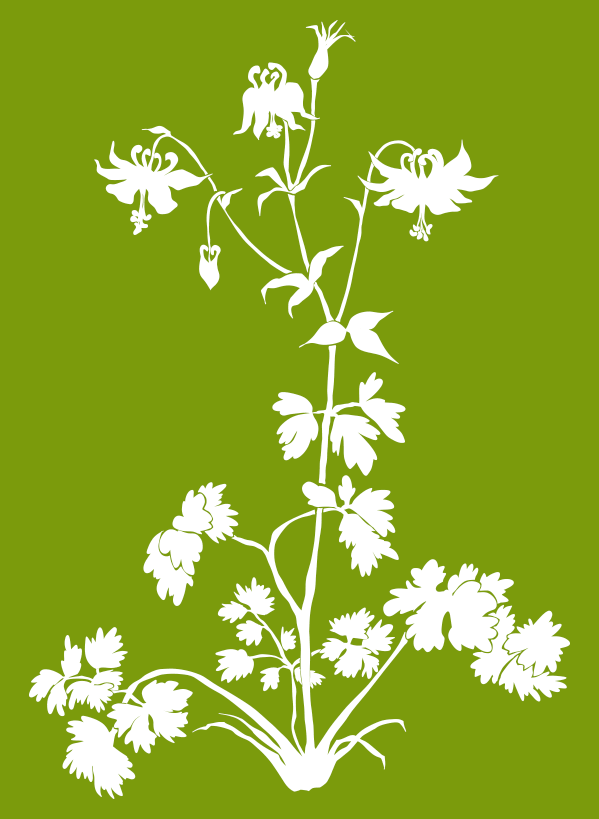 Akelei grasgrüner Hintergrund