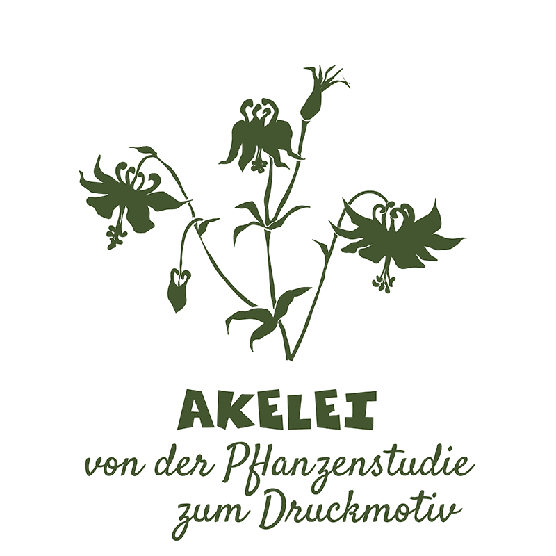 Akelei von der Pflanzenstudie zum Druckmotiv